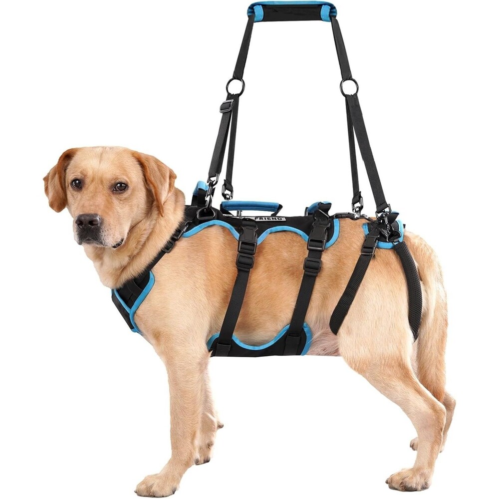 Dog Lift Harness for Large Male Dogs, 2-in-1, Back Leg Support & Mobility Assist